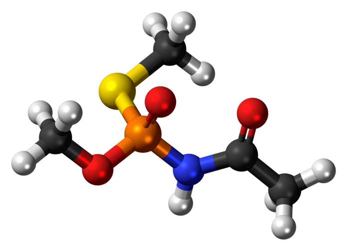 acephate-872210_1280