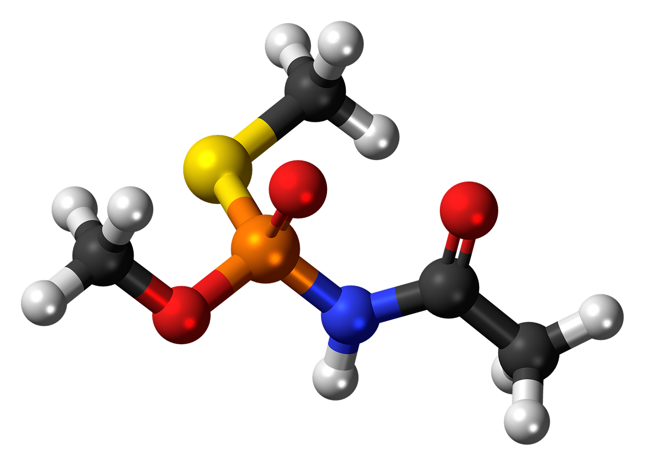 acephate-872210_1280