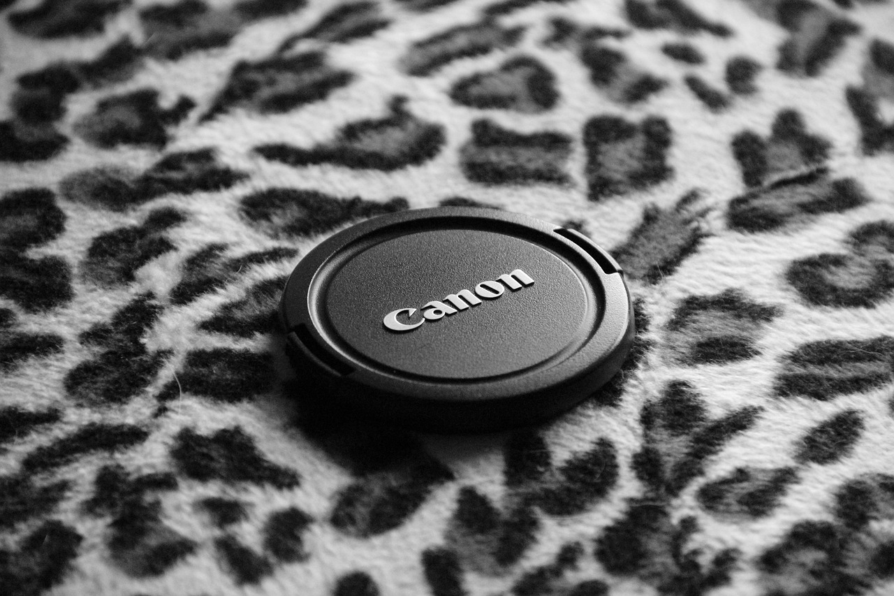 bianco-e-nero-6080515_1280